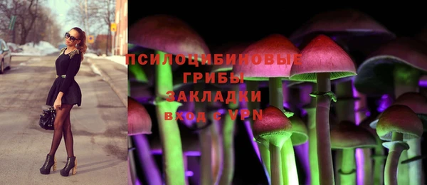 эйфоретик Алексин