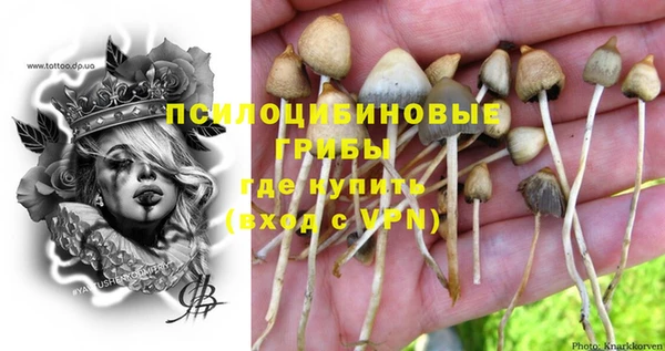 эйфоретик Алексин