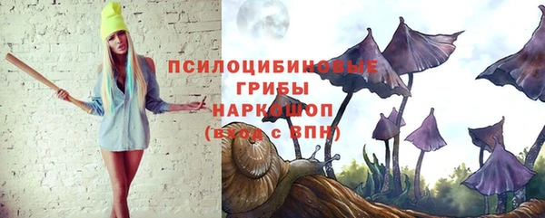 не бодяженный Осинники